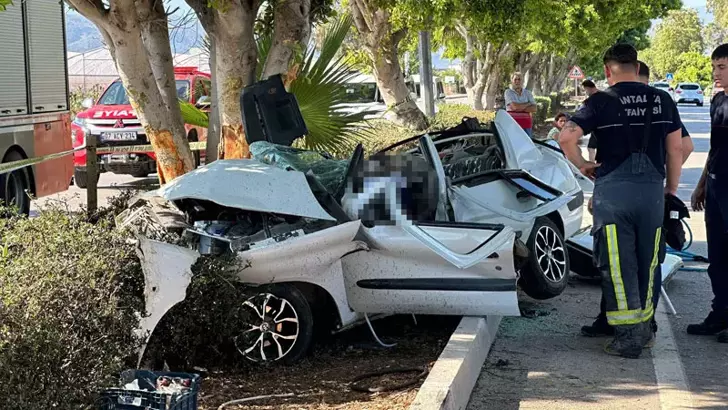 Otomobil ağaca çarptı; baba, eşi ve kızı öldü, oğlu yaralandı