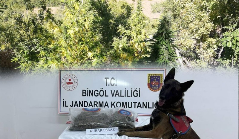 Bingöl'de uyuşturucu operasyonu