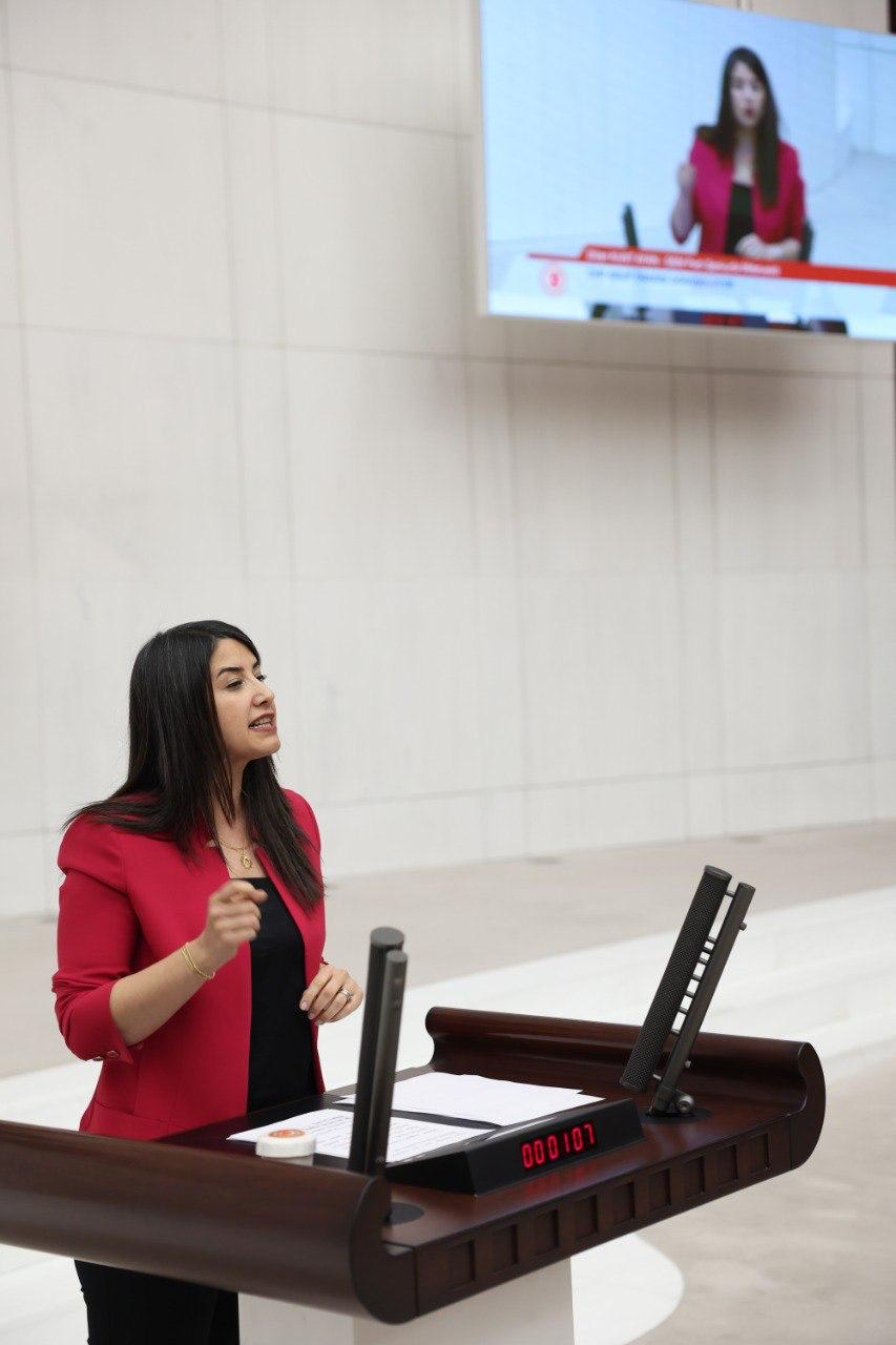Urfa Sınırında İşkence İddiası: TBMM’ye Soru Önergesi Verildi*