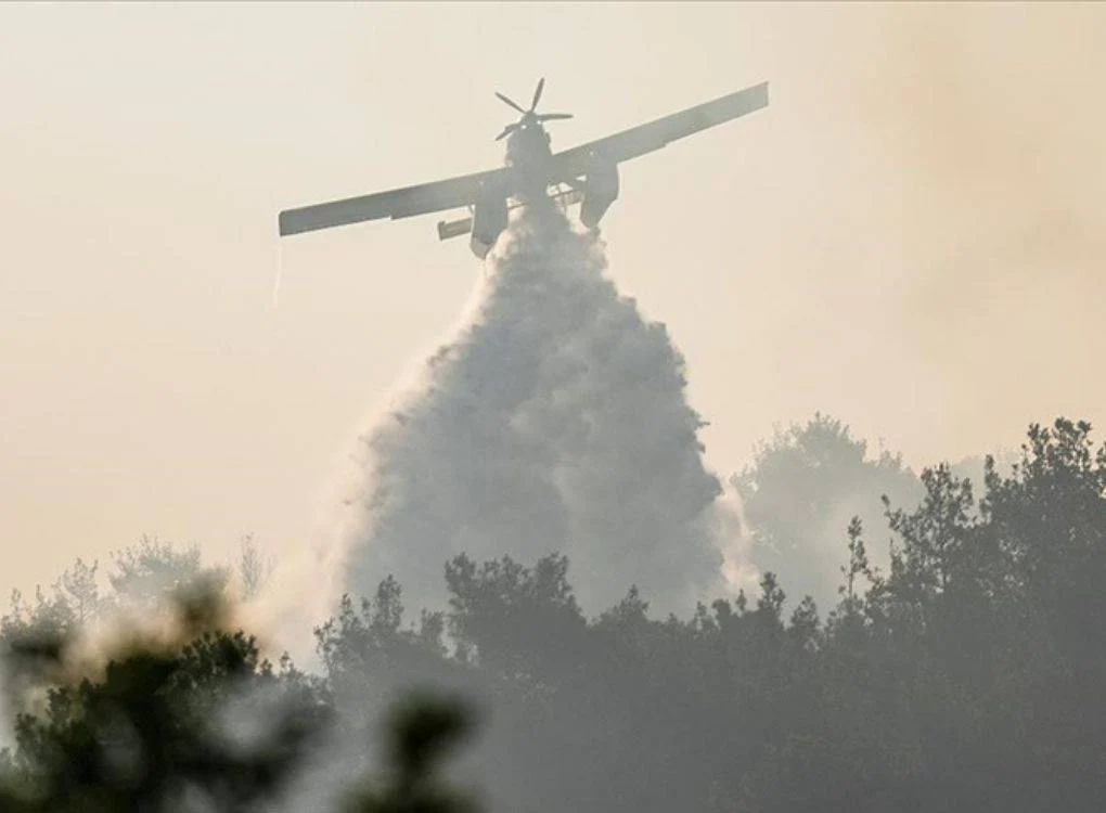 Çanakkale’de orman yangını: Gelibolu’ya girişler durdu