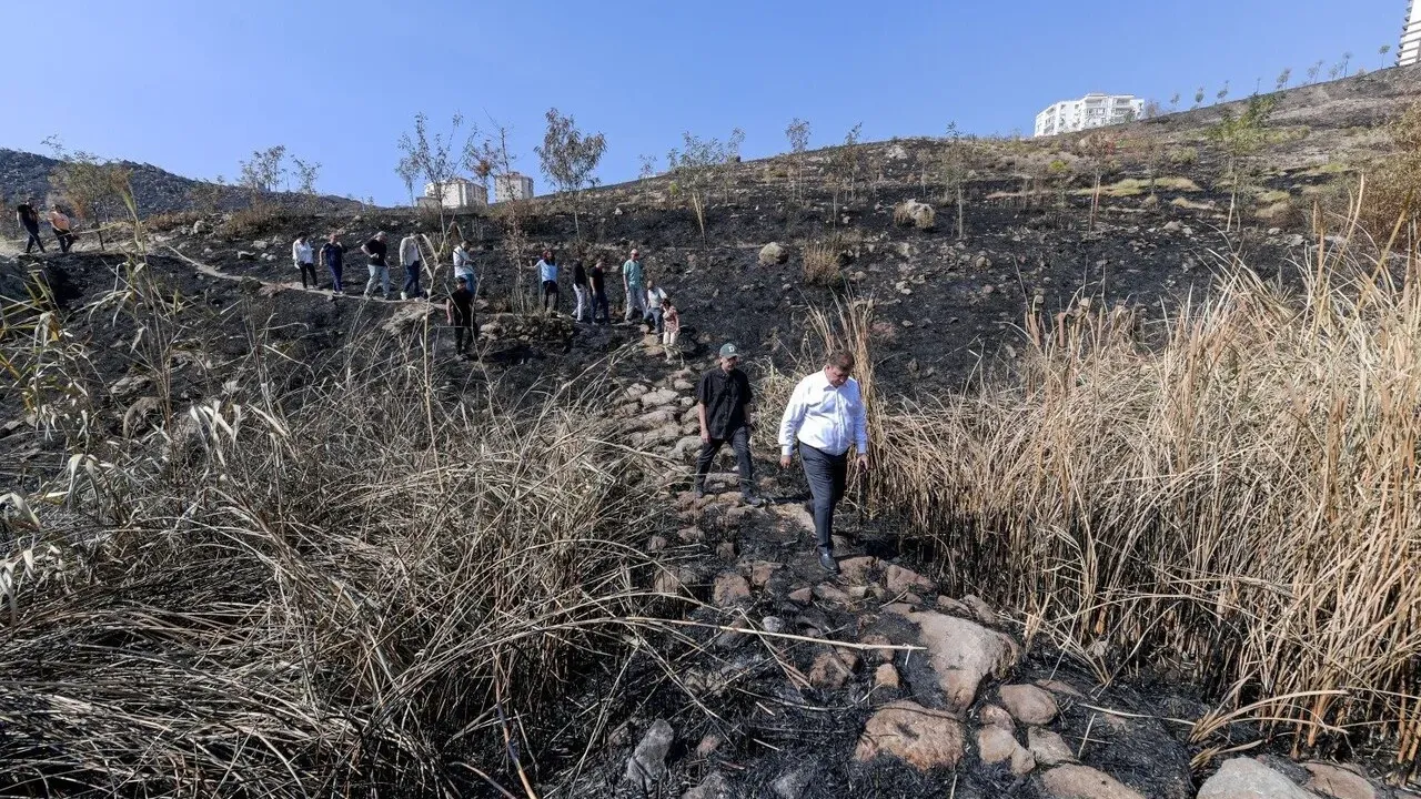 İzmir'de yangın söndü: Şimdi hedef ağaçları kurtarmak