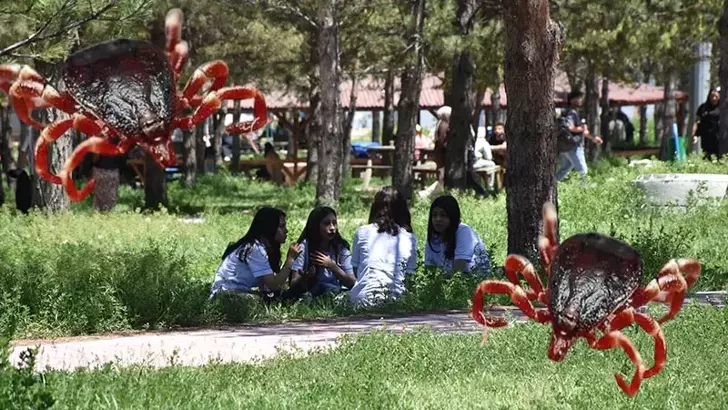 Keneden ölümler için 'mRNA aşısı' umudu