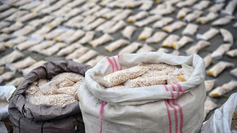 Rapor: Avrupa, Suriye'den gelen uyuşturucu Captagon tabletleri ticaretinde kilit rol oynuyor