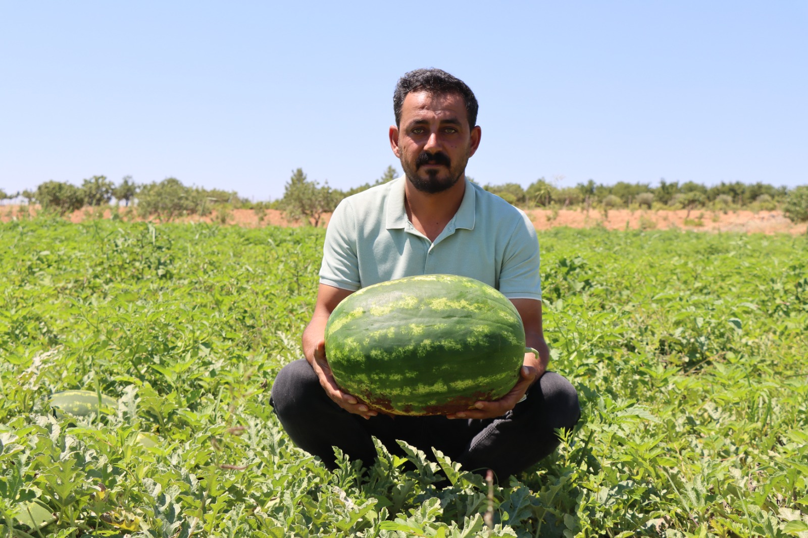 Yaylak Karpuzunun Lezzeti Dağlardan Geliyor!