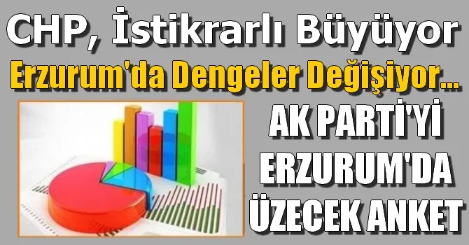 AK PARTİ'Yİ ERZURUM'DA ÜZECEK ANKET