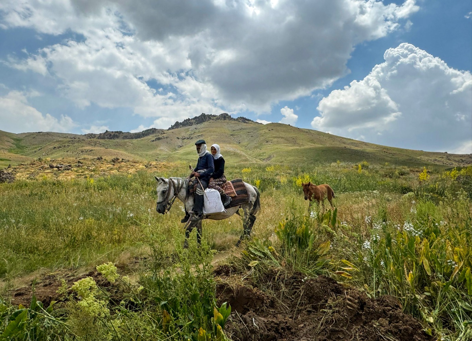 Van Büyükşehir Belediyesi Tirşîn Yayla Yolu’nda çalışma yaptı