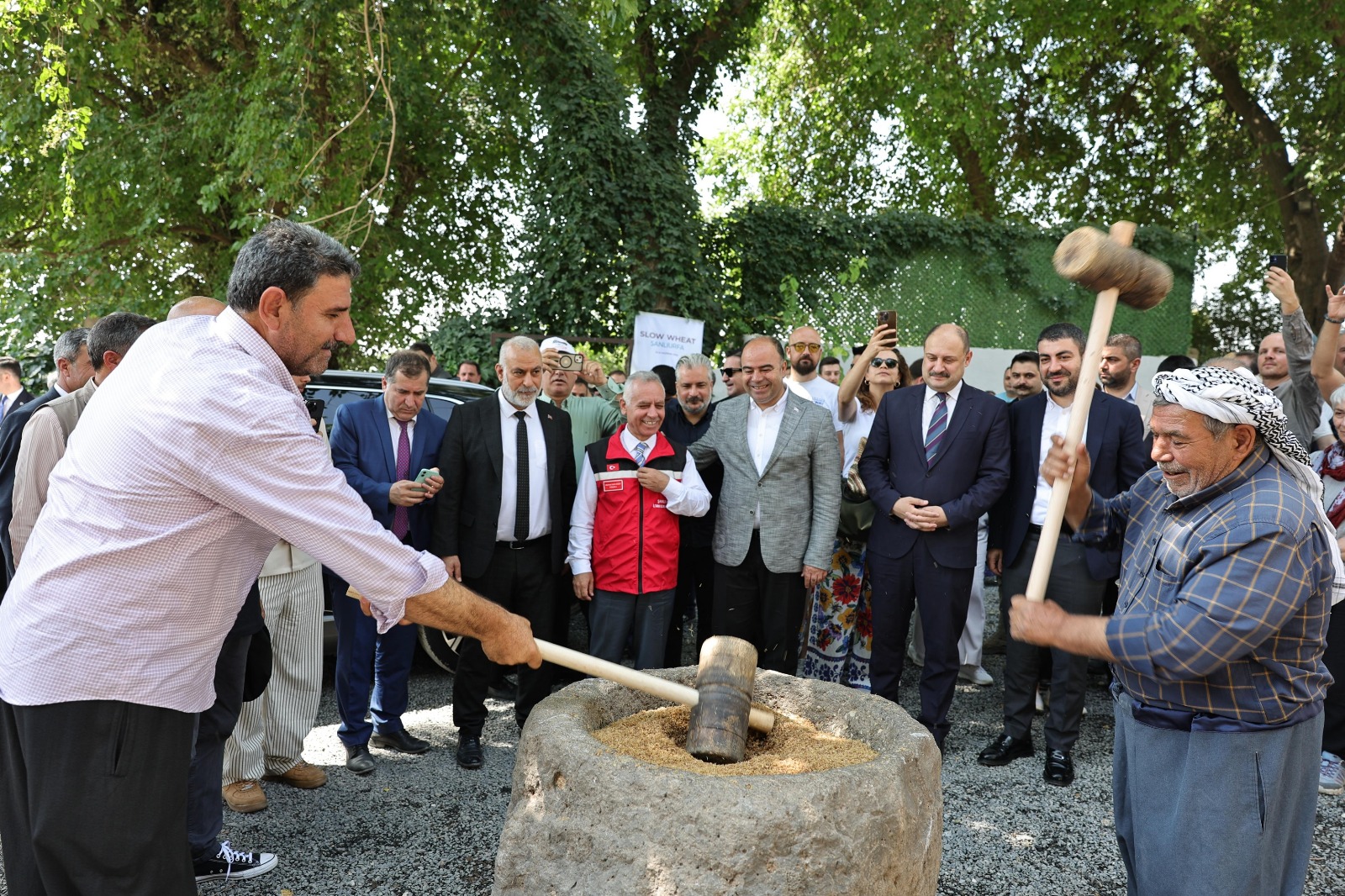 ŞANLIURFA’DA ULUSLARARASI BUĞDAY HASADI FESTİVALİ BAŞLADI
