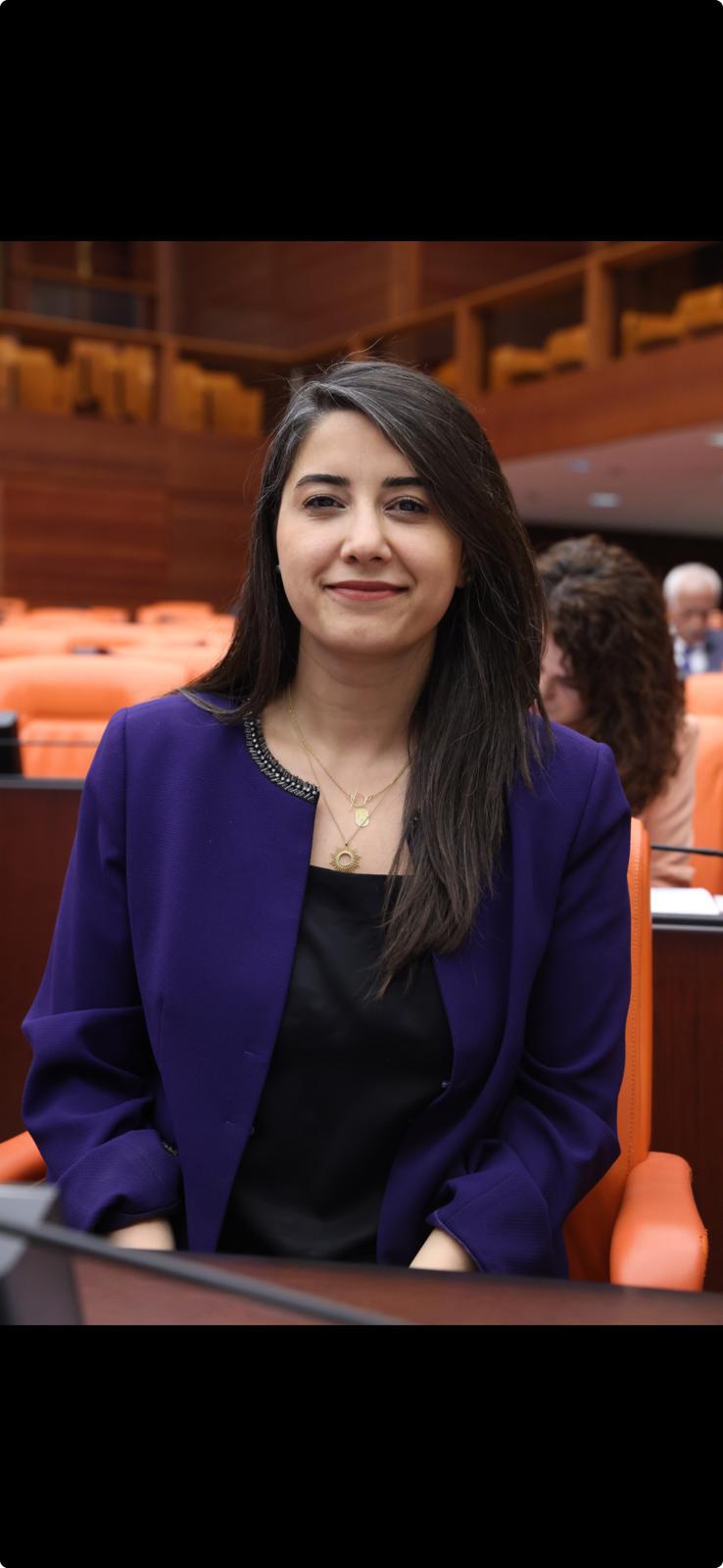 Şanlıurfa Tamirciler ve Nakliyeciler Küçük Sanayi Sitesi Yer Sorunu*