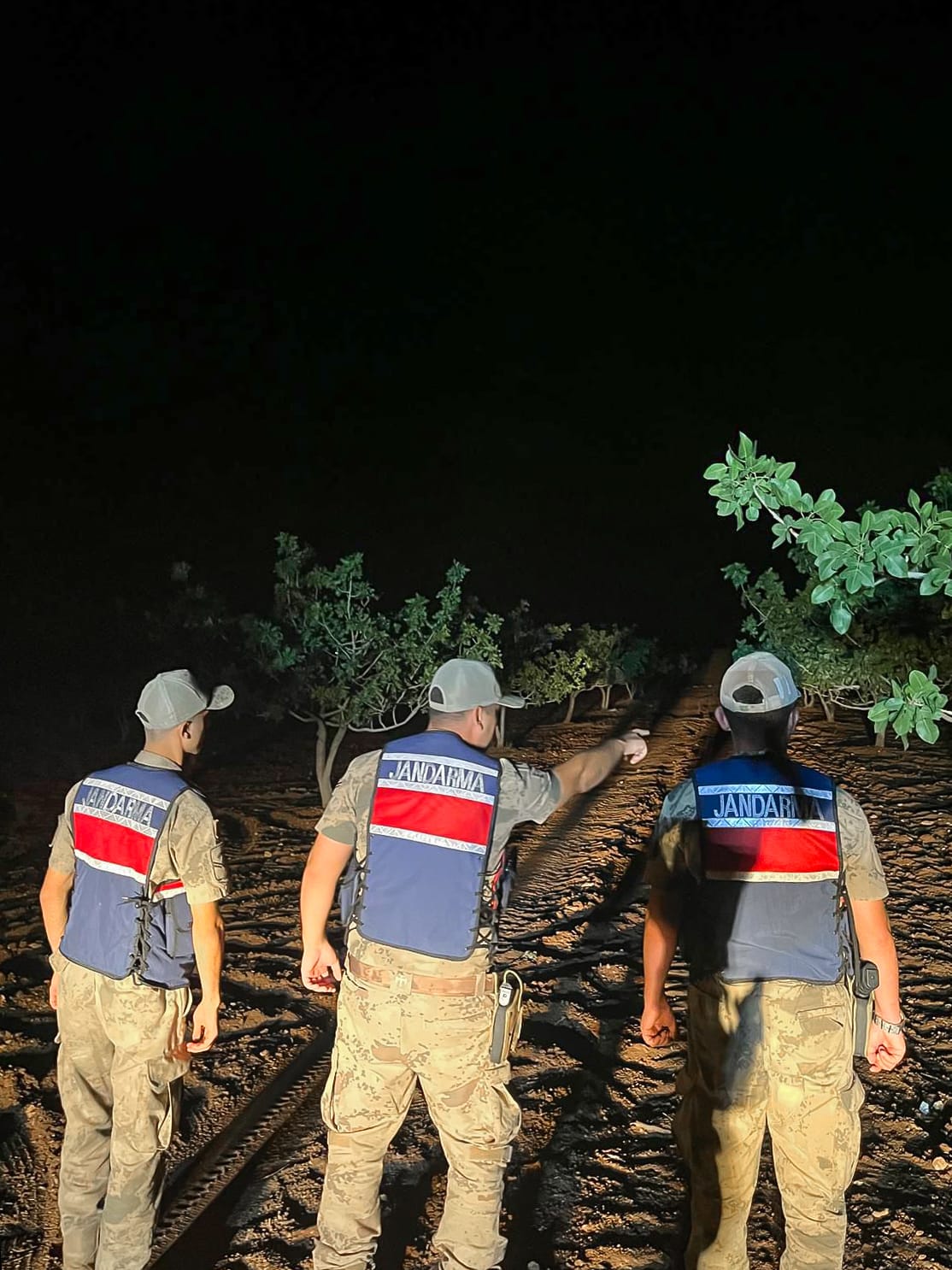 Şanlıurfa’da Jandarma Fıstık Nöbetinde: Alın Terine Sahip Çıkılıyor*