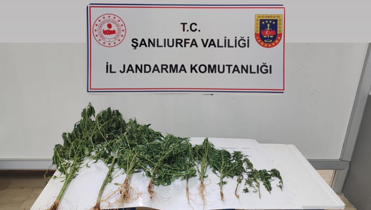 İLÇELERDE JANDARMA SUÇLULARA GÖZ AÇTIRMİYOR