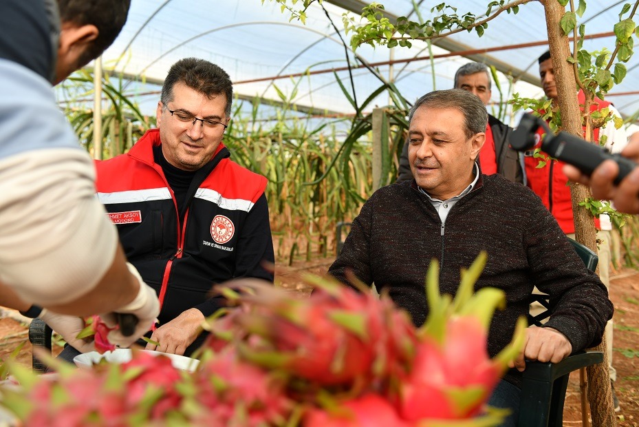 URFA'DA EJDER MEYVESİ ÜRETEN KADINA VALİ ŞILDAK'TAN TEBRİK ZİYARETİ