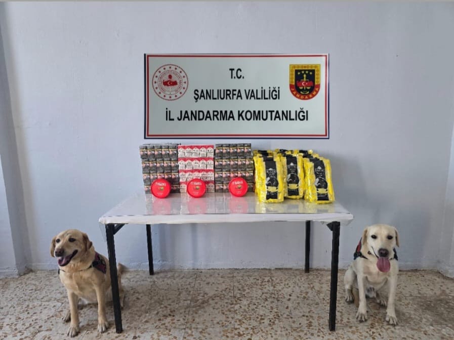 Şanlıurfa’da Kaçak Sigara Operasyonu: 3.210 Adet Gümrük Kaçağı Sigara Ele Geçirildi