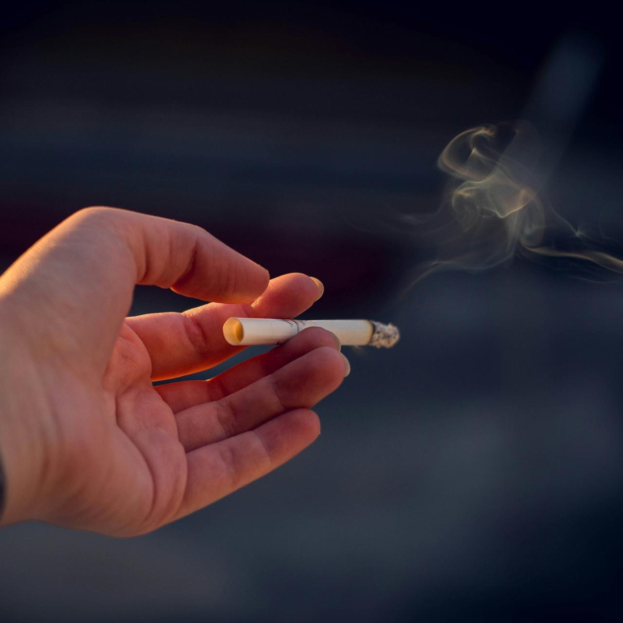  Türkiye'de Son 6 Ayda 81 Orman Yangını Sigara İzmaritinden Çıktı