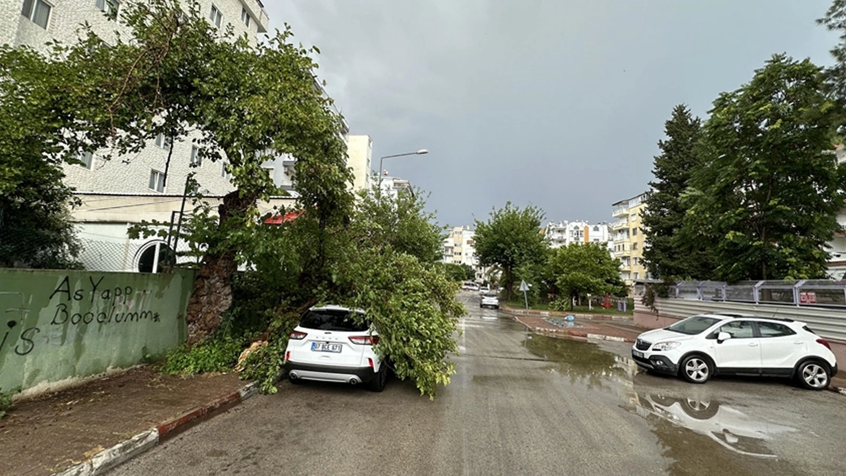 Antalya'da 6 ilçede yarın okulla tatil edildi