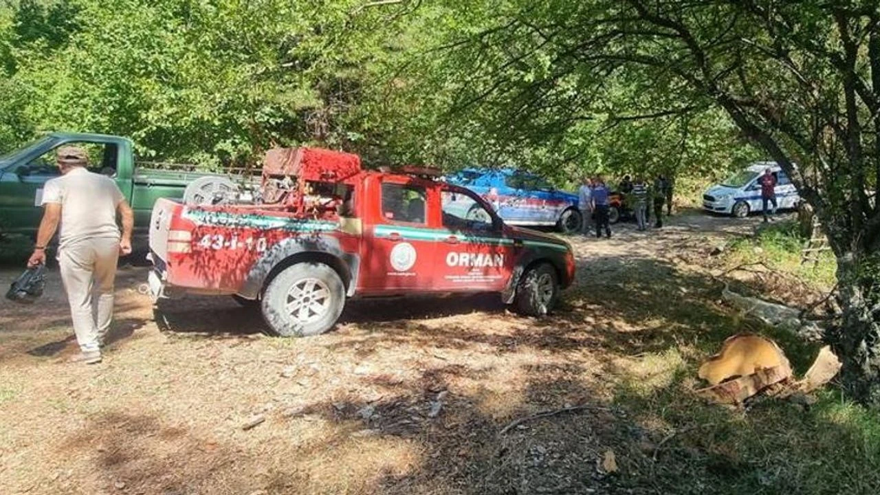 Kütahya’da dağ evi sulama havuzunda 13 ölü köpek bulundu