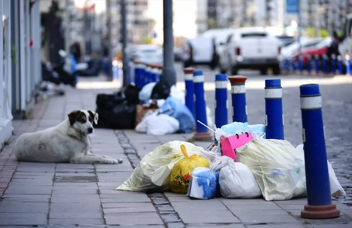 4 gündür devam eden grev İzmir'i dev bir çöp yığınına çevirdi