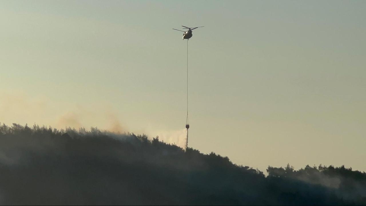 Manisa'nın Kırkağaç ilçesinde orman yangını