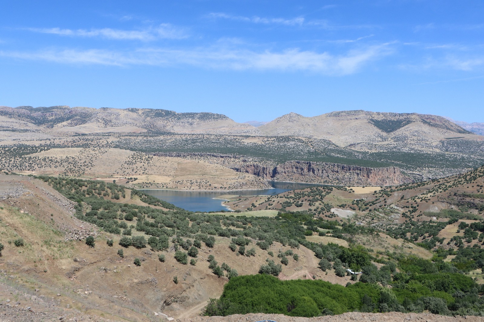 IMG-20250527-WA0033