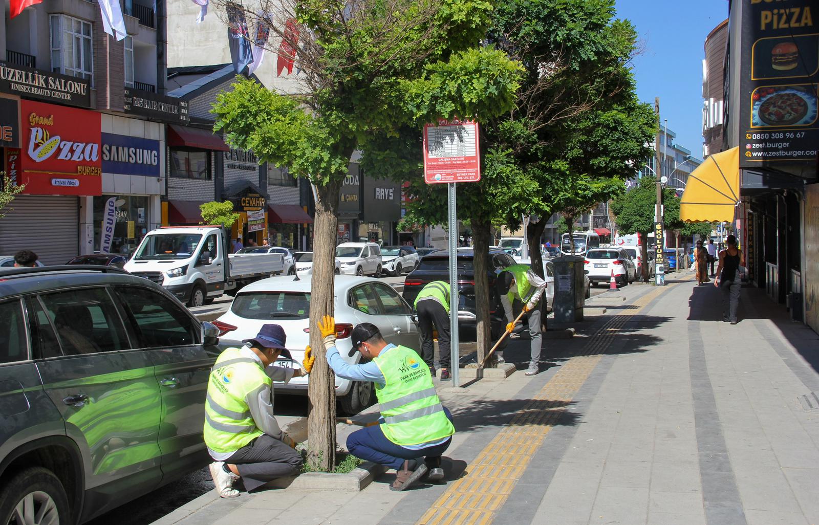 IMG-20250714-WA0046